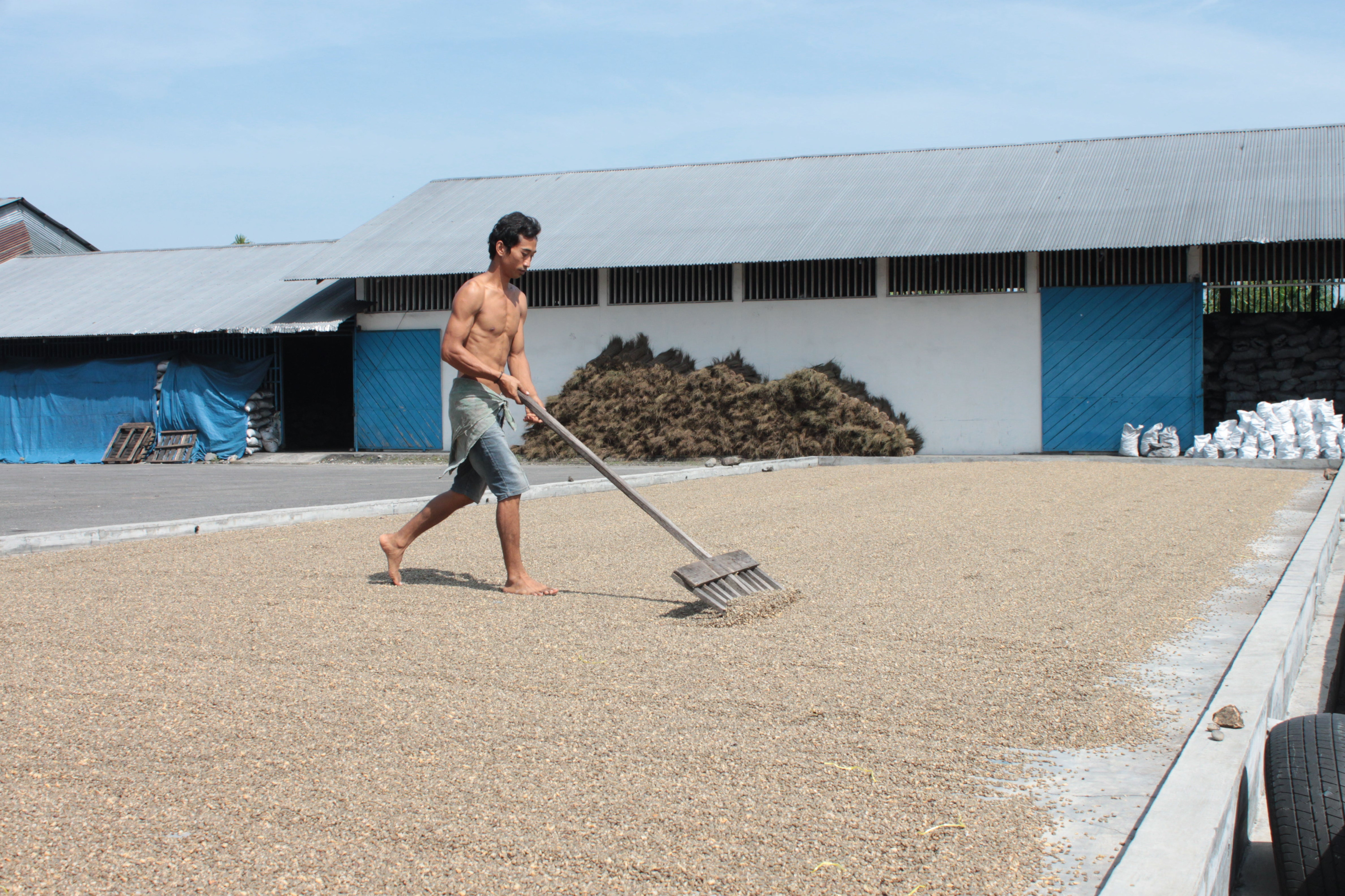Farmář Aulia Kahfi na své farmě